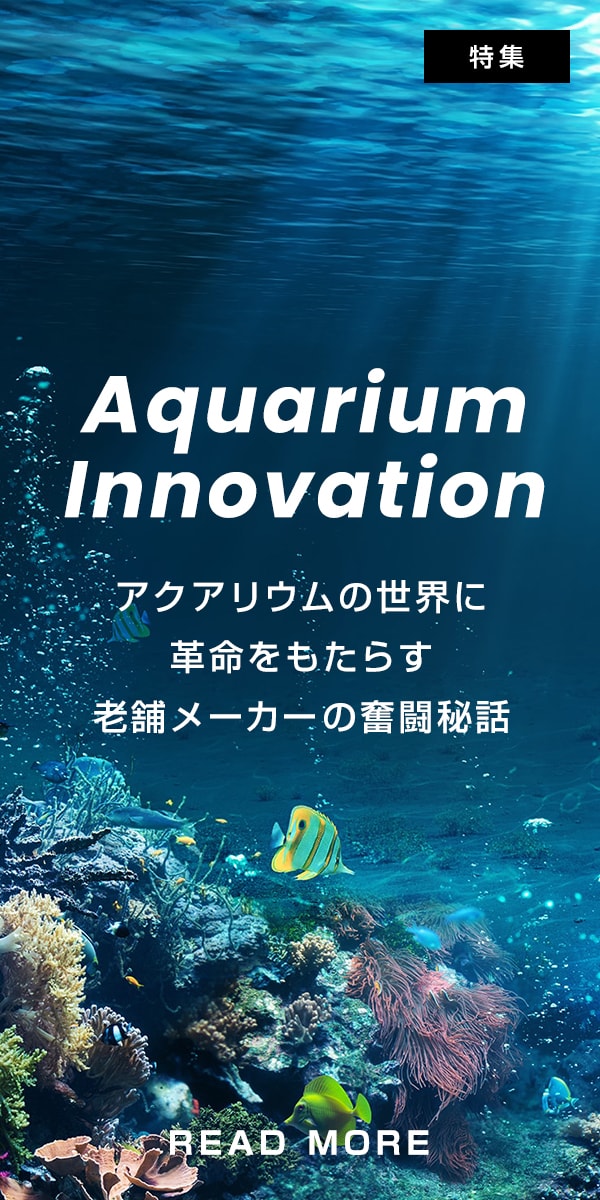 Aquarium Innovation | アクアリウムの世界に革命をもたらす老舗メーカーの奮闘秘話