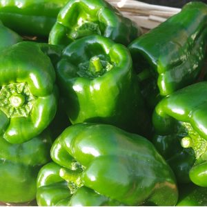 初心者にもできるピーマンの育て方・栽培方法【解説動画付き】