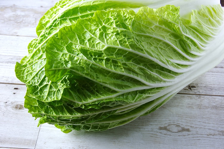 ハクサイの育て方【カインズ野菜図鑑】