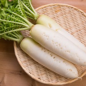 初心者にもできるダイコン(大根)の育て方・栽培方法【解説動画付き】
