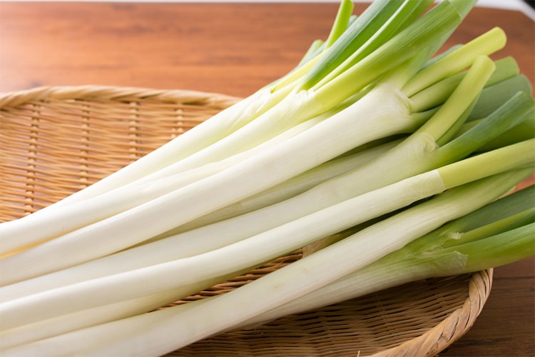 初心者にもできるネギの育て方・栽培方法【解説動画付き】