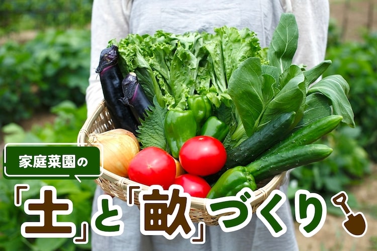 【畑の作り方】家庭菜園のための「土」と「畝」づくり