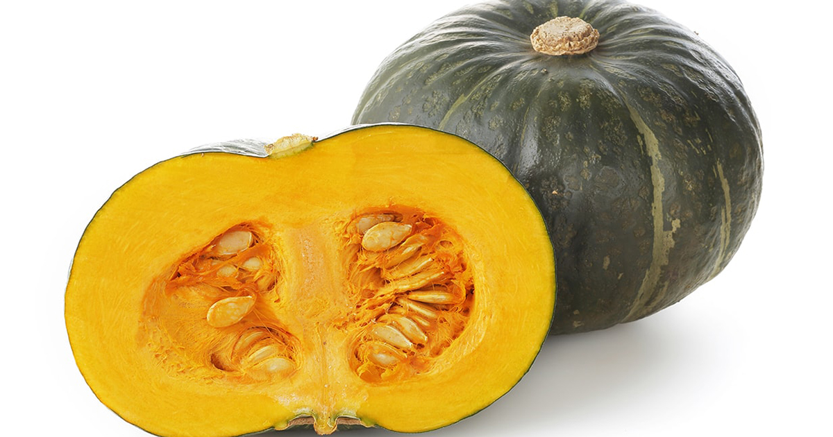 初心者にもできるカボチャの育て方 栽培方法 解説動画付き となりのカインズさん