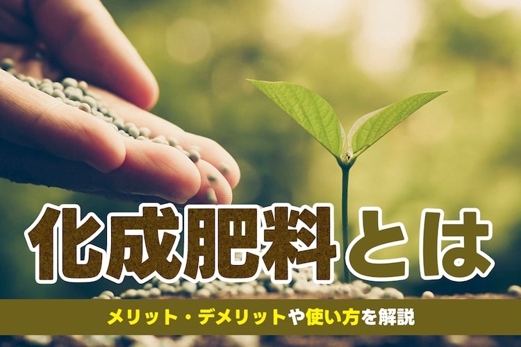 化成肥料とは? おすすめの種類から撒き方、デメリットまで解説