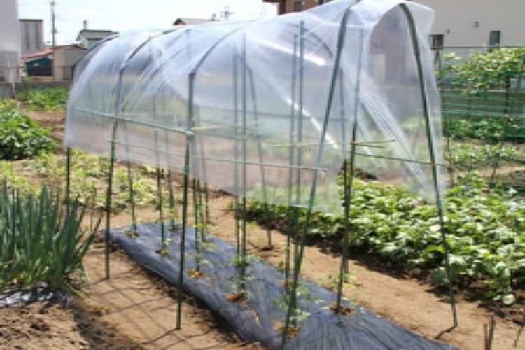 畑の作り方 家庭菜園のための 土 と 畝 となりのカインズさん