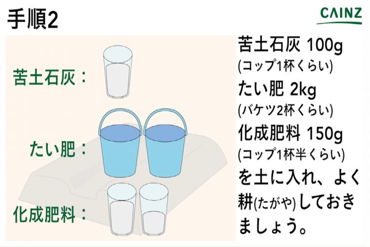 ツルムラサキの育て方 カインズ野菜図鑑 となりのカインズさん