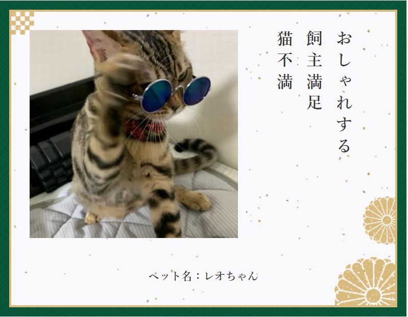 おもしろ猫ちゃんの にゃおにゃお川柳 10作品 となりのカインズさん