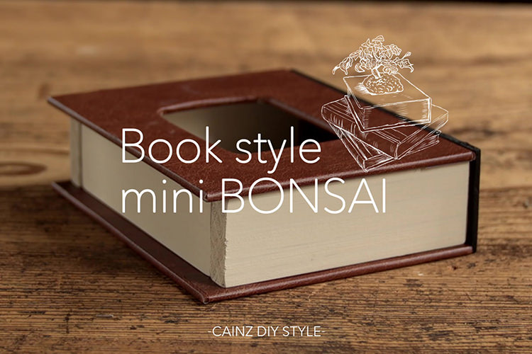洋書風のミニ盆栽DIY 【カインズDIY】