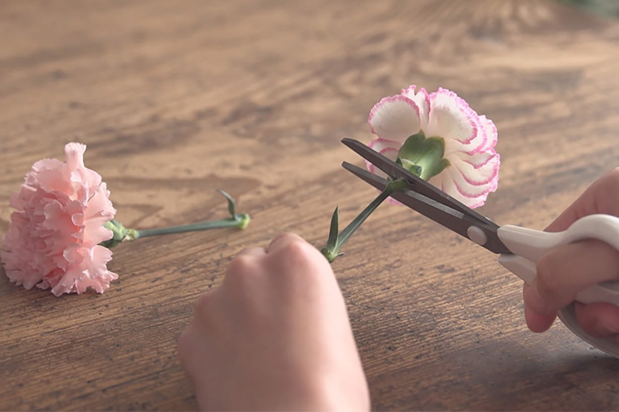 ガラスキャニスターで作るプリザーブドフラワーリウムdiy カインズdiy となりのカインズさん