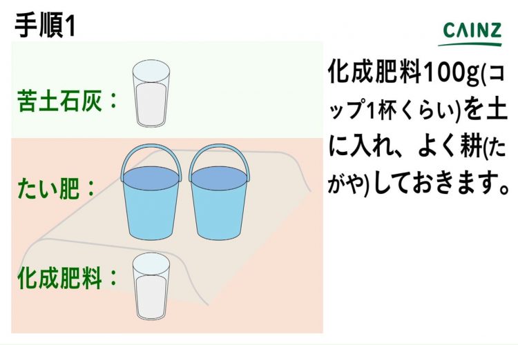 カブの育て方 カインズ野菜図鑑 となりのカインズさん