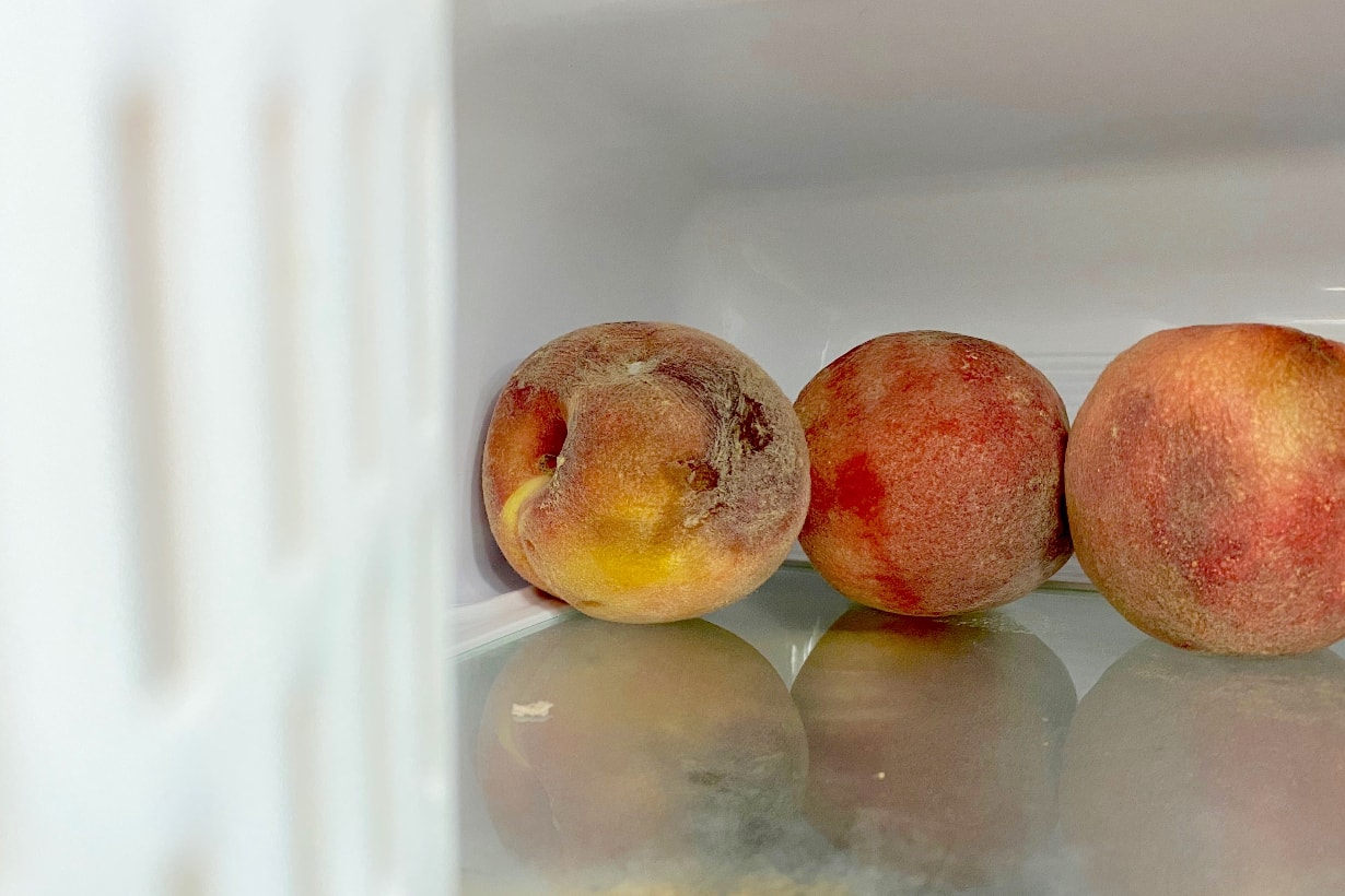 プロが教える 冷蔵庫を使いやすくする収納術 となりのカインズさん