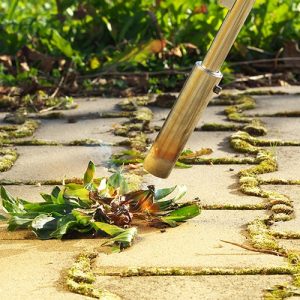 培養土とは何 使い方や種類 おすすめ商品を解説 となりのカインズさん