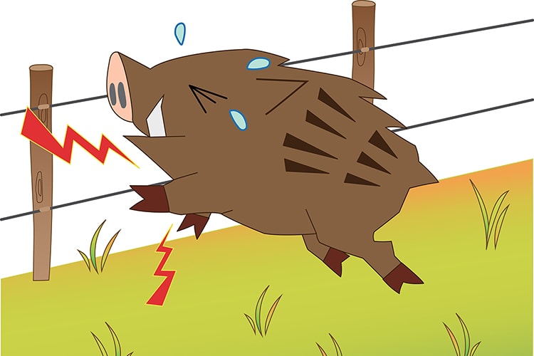 電気柵の正しい選び方と設置方法をわかりやすく解説!