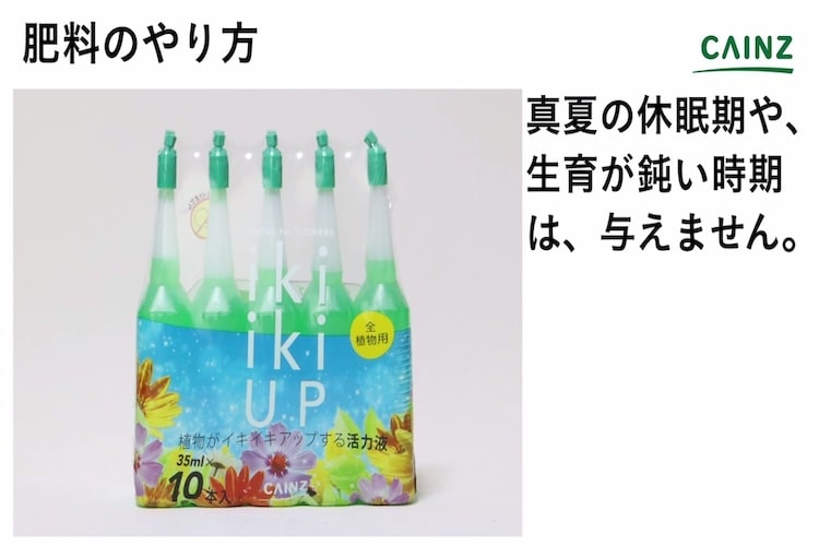 アルストロメリアの育て方とは 場所の選び方や水やりのコツ 肥料の与え方などについて解説 カインズ花図鑑 となりのカインズさん