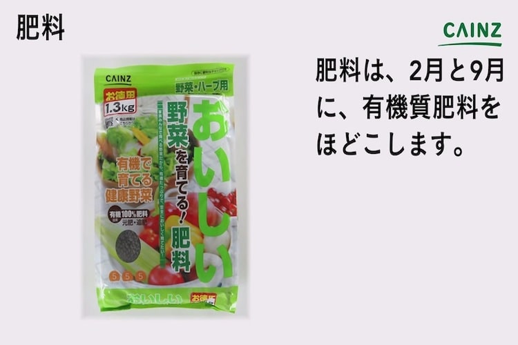 クランベリーの育て方とは 場所の選び方や水やりのコツ 果実の収穫方法などについて解説 カインズ植物図鑑 となりのカインズさん