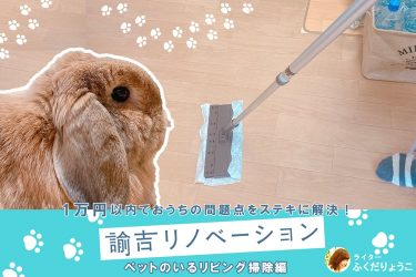 閲覧注意 Snsで話題のバブルーンで洗面台とトイレを泡掃除してみた となりのカインズさん