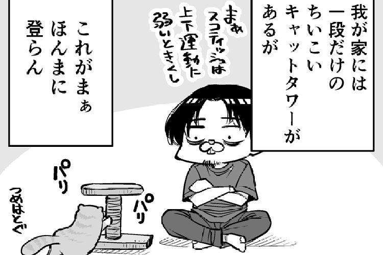 愛猫マンガ『となりのうまきさん』第8話