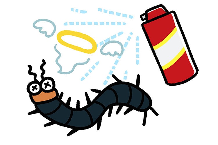 ムカデ駆除の予防・対策! 咬まれるととても痛い不快害虫