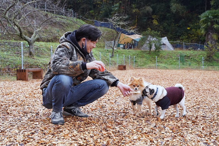 【材料の7割がカインズ産】手作りキャンプ場に愛犬といっしょに行ってきた!