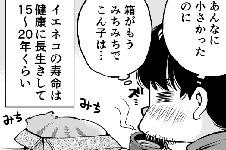 愛猫マンガ『となりのうまきさん』第16話