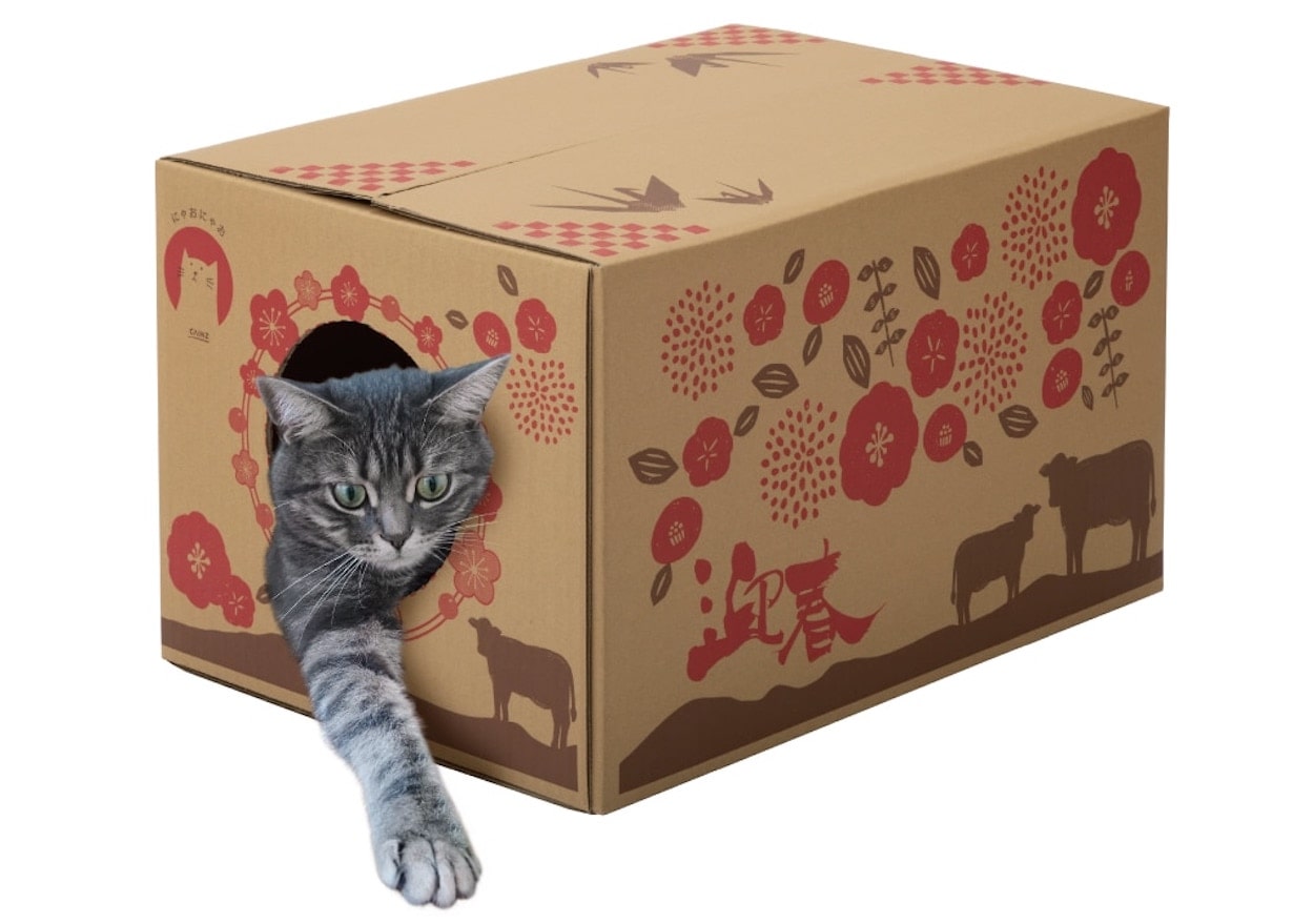 なぜ猫はダンボール好き？ 世界が認めた「キャットインテリアタワー