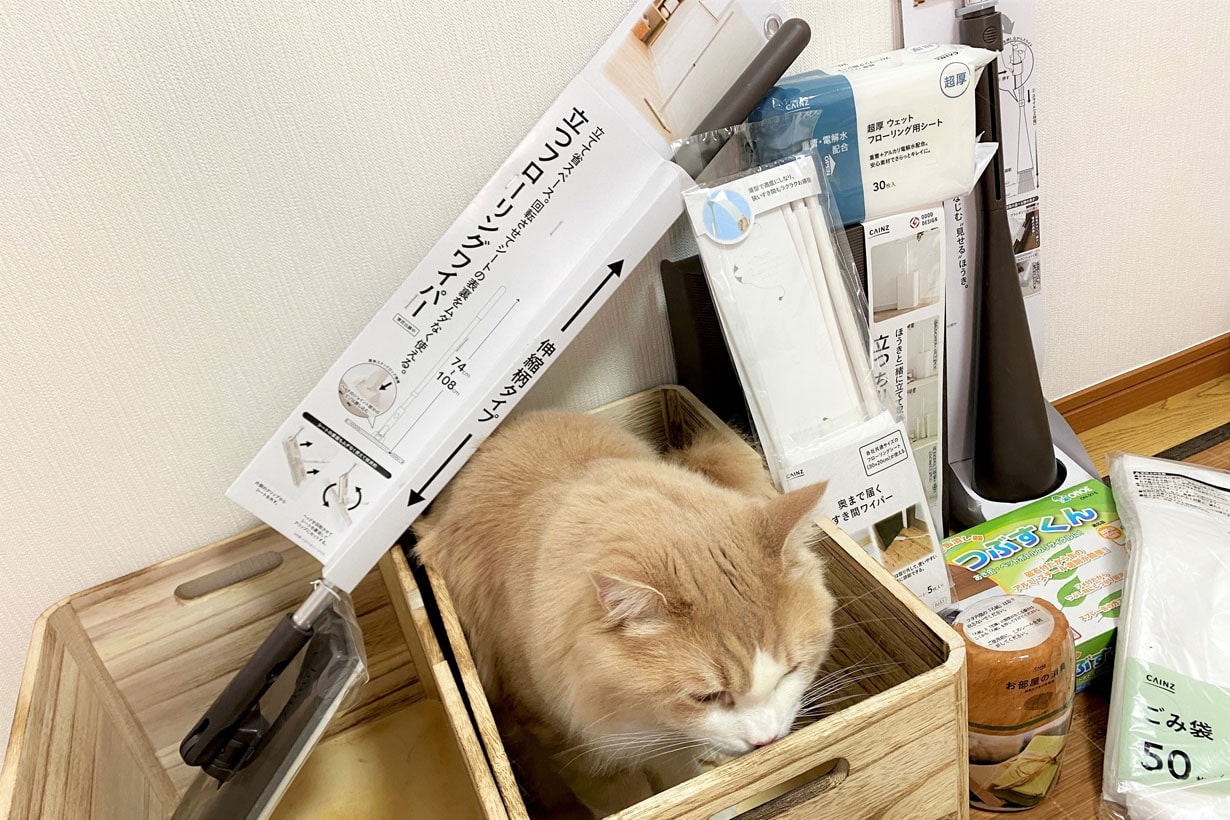 ネオ無職女子「酒村ゆっけ、」の、酒スラム部屋を大掃除してみた 