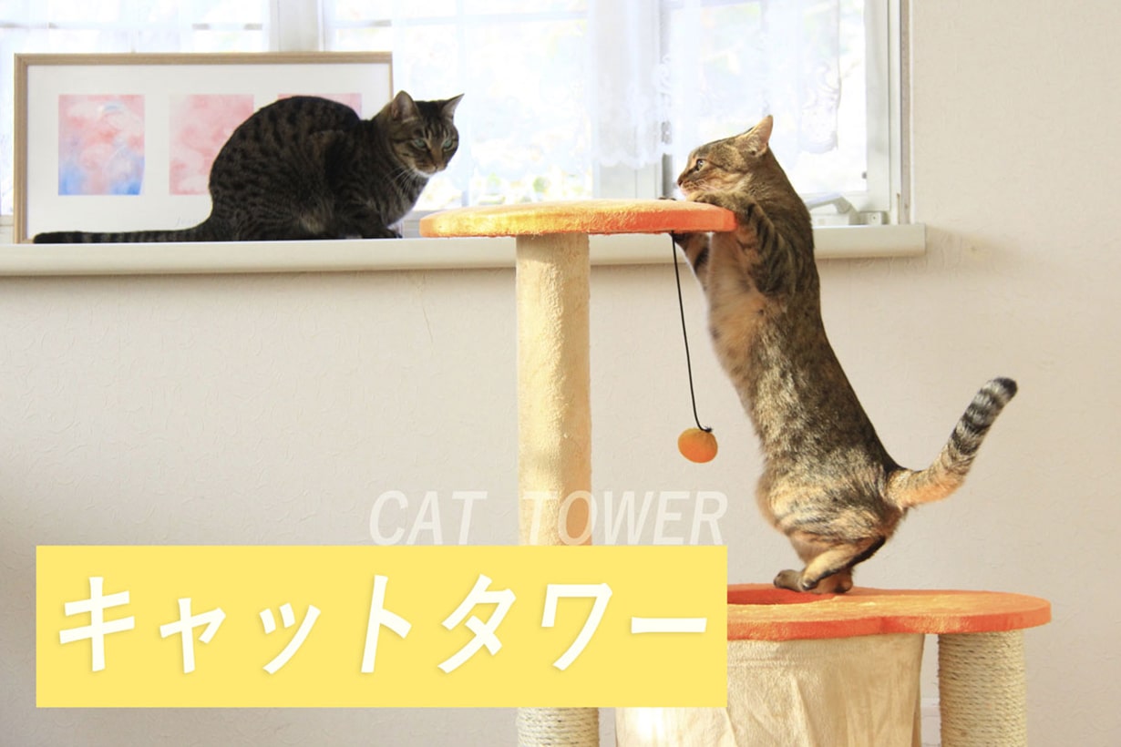 DIY】ネコの気持ちが分かるのは誰だ!? オリジナルキャットタワー選手権