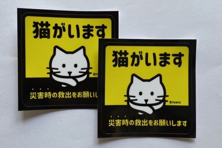 豆猫 ニャンズカード 13枚セット ニャンとも豪華な景品が当たる！「ニャンズカードキャンペーンin