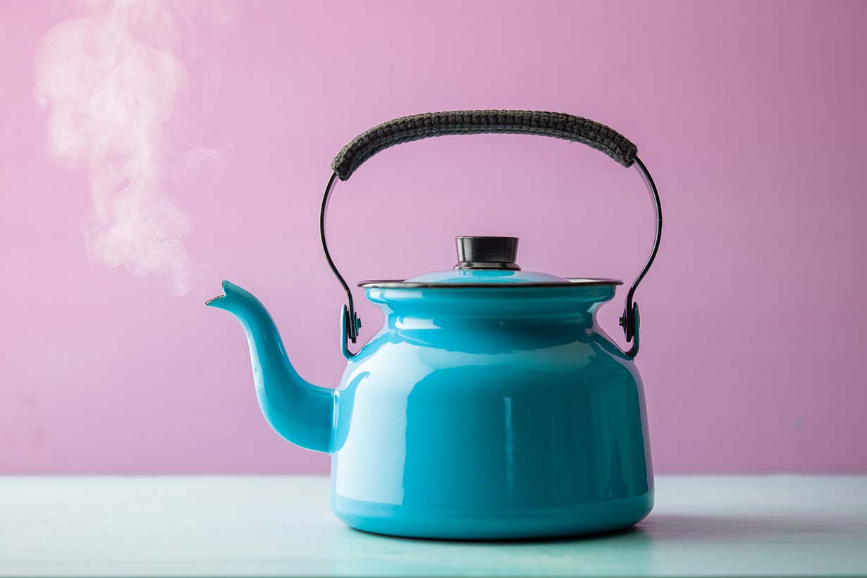 ナメクジの駆除方法は ビールやハーブを使った手作り駆除剤や予防方法 となりのカインズさん