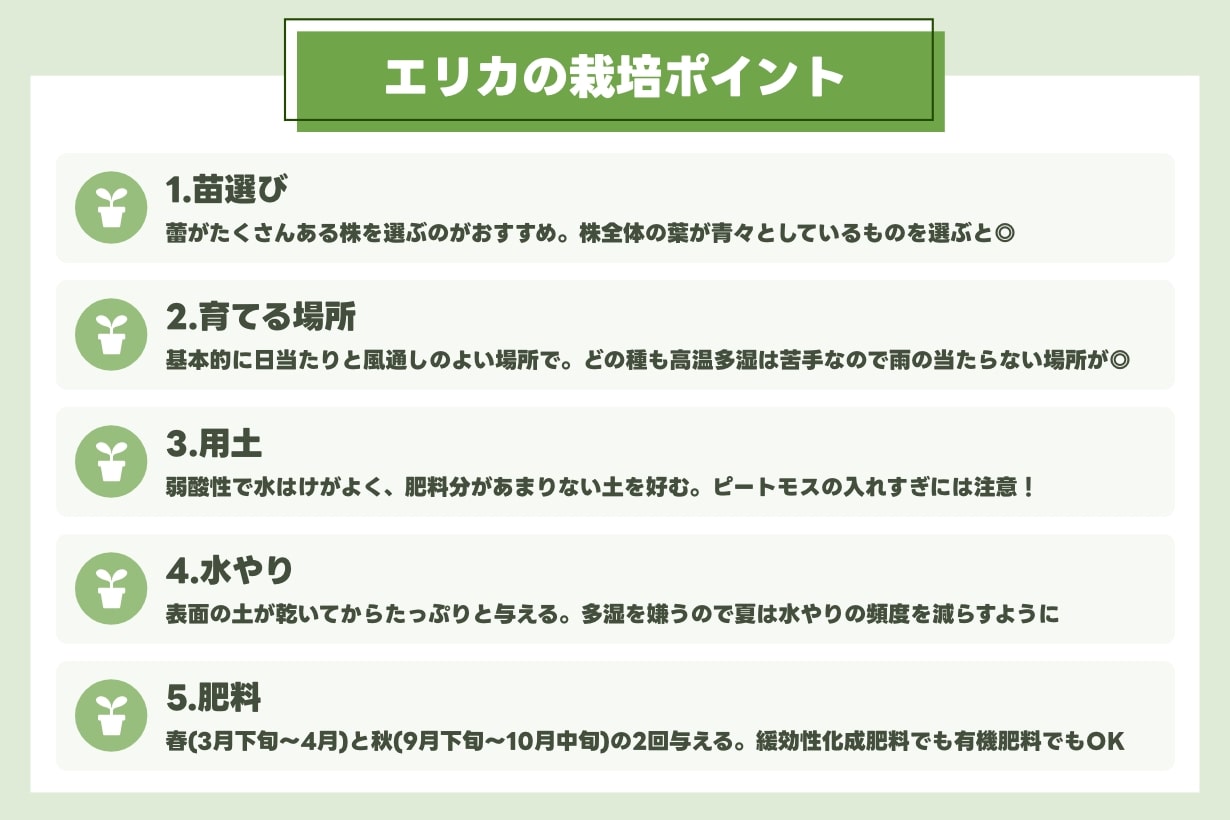 エリカの栽培ポイント