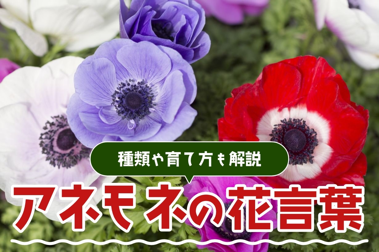 バラとアネモネのある日本の花瓶のストラップスカート