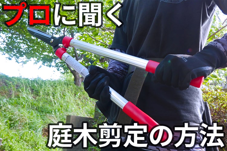 現役の造園屋に聞いた「庭木剪定」の道具の選び方と剪定方法