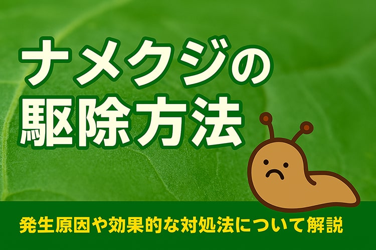 ナメクジの駆除｜ビールやハーブを使った手作り駆除剤や予防方法