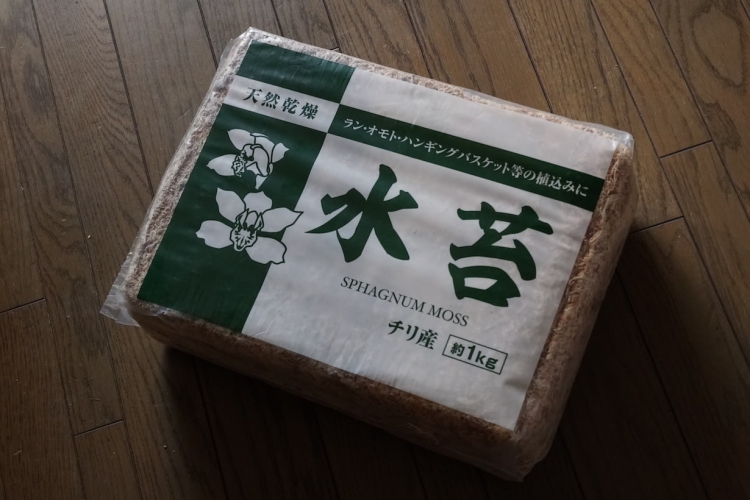 「水ゴケ」を使って花を咲かせる