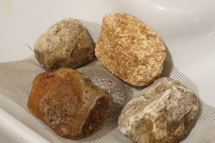 網戸の切れ端を置いて、石を載せて押さえる