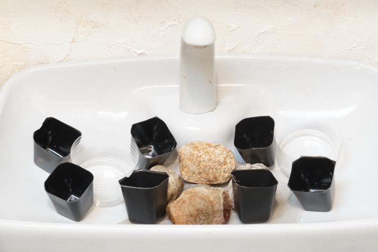 鉢の配置を確認