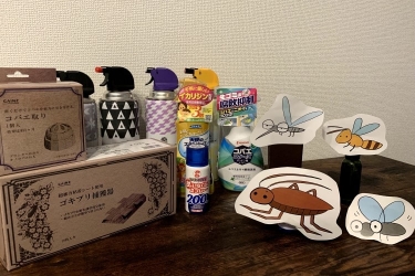 殺虫剤おすすめ30選 蚊 ゴキブリ コバエ ダニを害虫駆除 となりのカインズさん