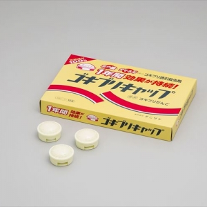 家に小蟻が大量発生！ 効果的な駆除方法をプロが解説  となりの 