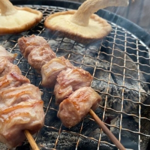 カインズBBQコンロで一人焼き鳥したらドはまりした話
