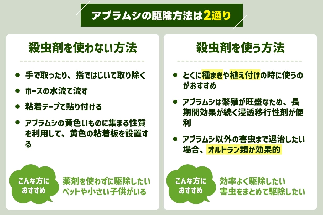 アブラムシを駆除したい 手軽な撃退法 発生原因や予防策も となりのカインズさん