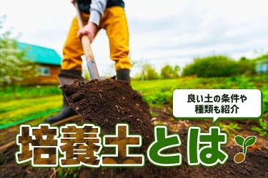 化成肥料とは何 特徴や使い方 種類をわかりやすく解説 となりのカインズさん