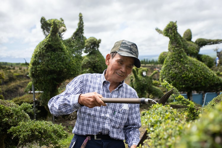 くまモン、大谷翔平、相撲取り…。謎の植木群を作る理由を植木歴70年の園主に直撃