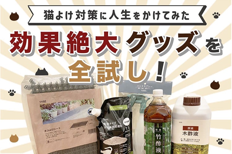 猫よけ対策完全版！効果絶大グッズで庭を荒らす猫と戦ってみた