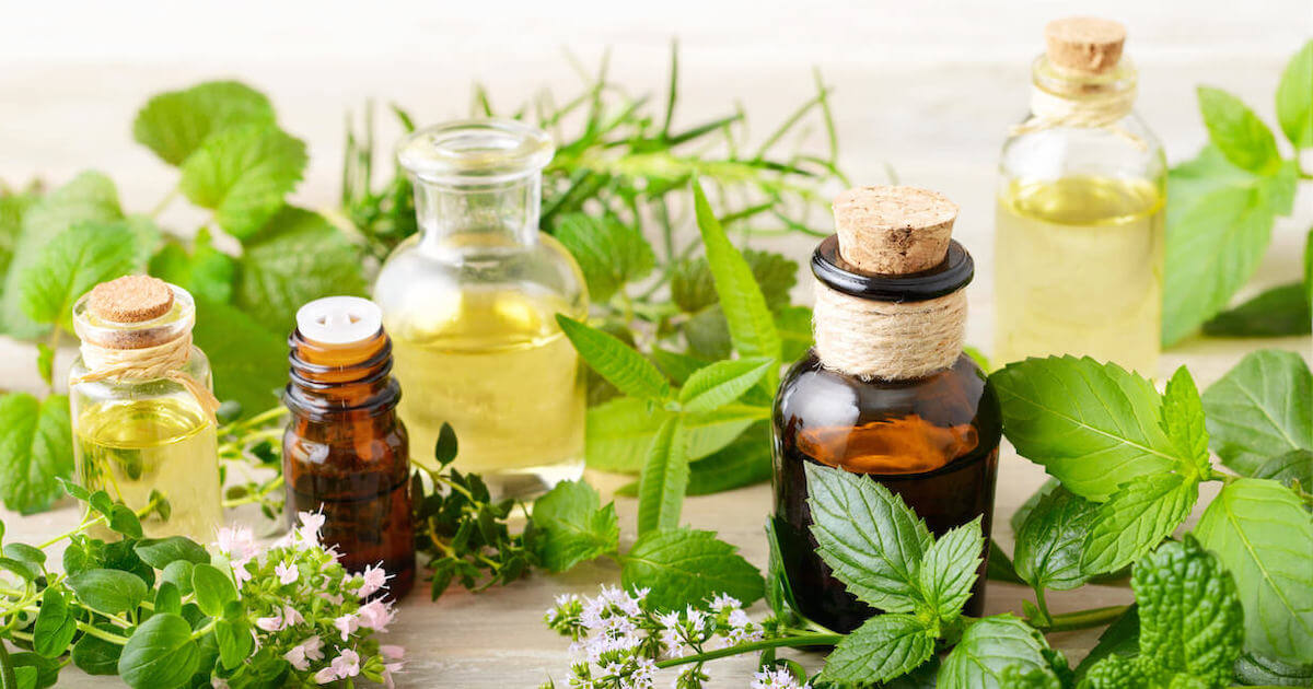 虫除け効果が高いハーブ12選 特徴や室内での活用方法も紹介 となりのカインズさん 虫除け効果が高いハーブ12選 特徴や室内での活用方法も紹介 となりのカインズさん