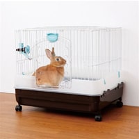 【数量限定】Ｐｅｔ’ｓＯｎｅ　ラビットケージ