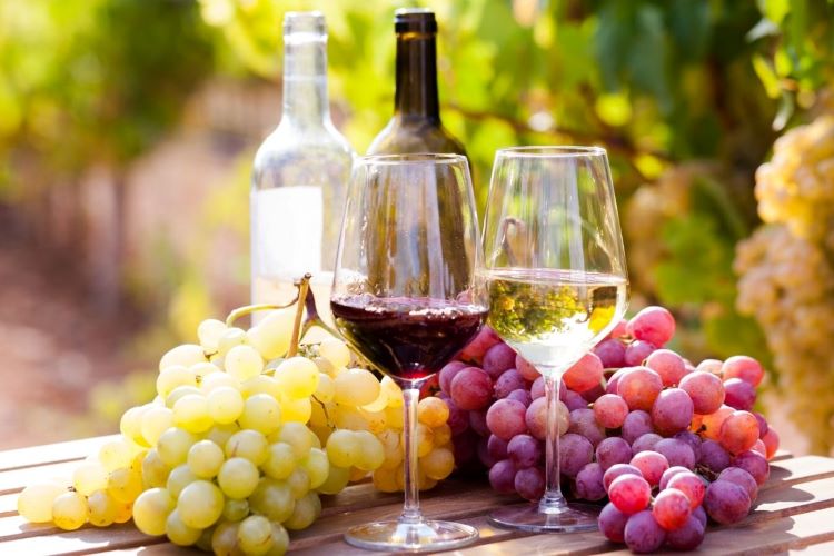 ワインのおすすめ20選！赤白別にコスパが良く、飲みやすいものをご紹介