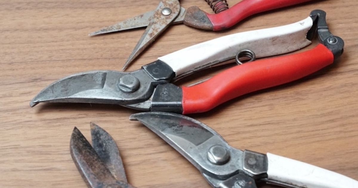 剪定バサミがピカピカに 園芸用ハサミやノコギリの手入れ方法 となりのカインズさん