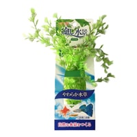 GEX 癒し水景 マツモ