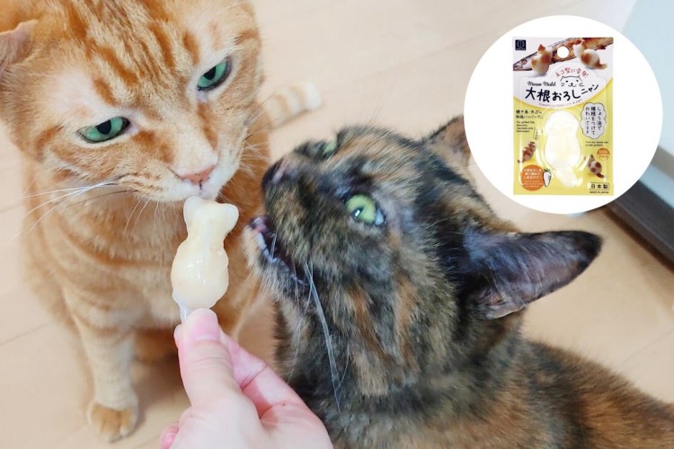 猫寿司や猫型ちゅ〜るアイス!? 「大根おろしニャン」を使っていろんなものを猫型にしてみた