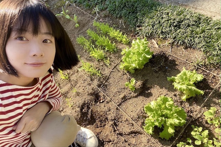 目指せ1年で30種類！ 「ひとコマ菜園」やってみた【秋まき大忙し編】